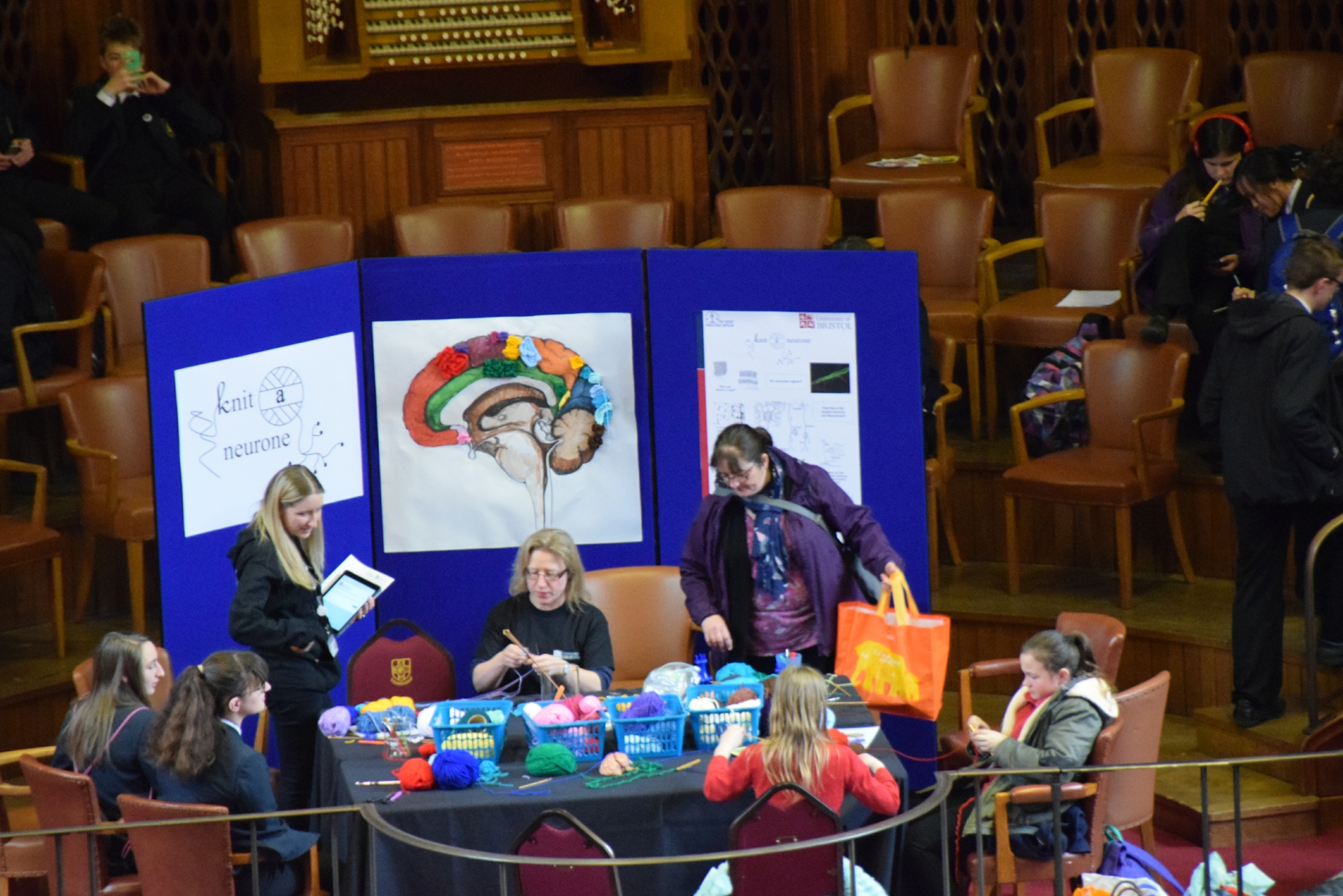Knit a neurone activity stall